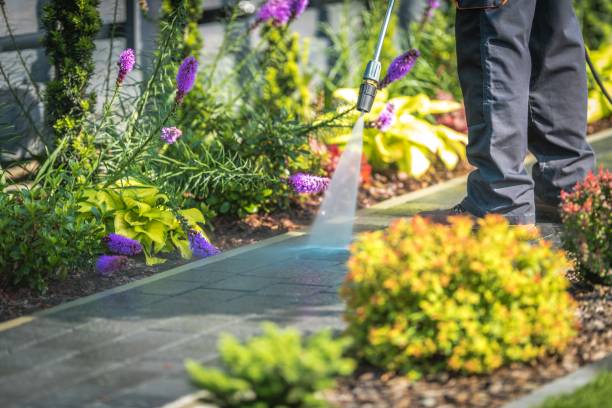 Best Dumpster Area Cleaning  in Estherville, IA
