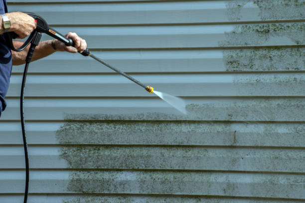 Best Driveway Pressure Washing  in Estherville, IA