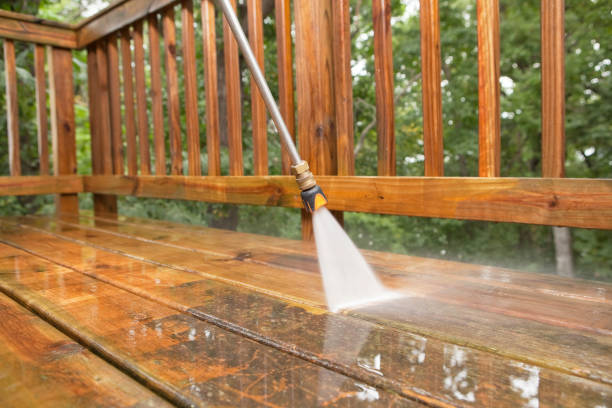 Best Solar Panel Cleaning  in Estherville, IA